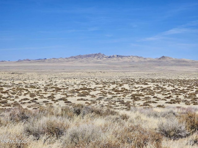 0 Blue Mountain Rd, Winnemucca, NV 89445