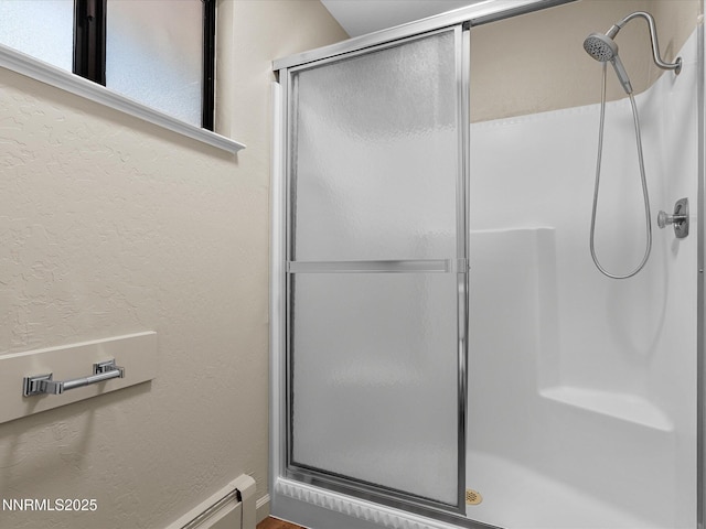 315 Paiute Dr, Zephyr Cove, NV 89448 - full bathroom with a shower stall and a textured wall