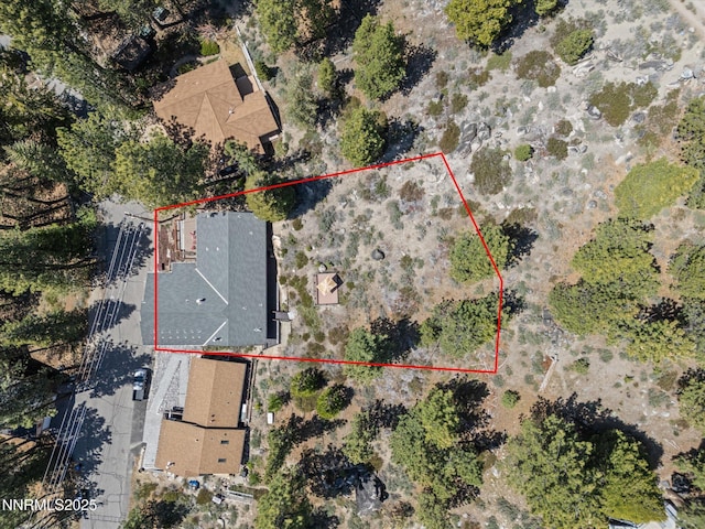 315 Paiute Dr, Zephyr Cove, NV 89448 - view of property location featuring property boundaries highlighted