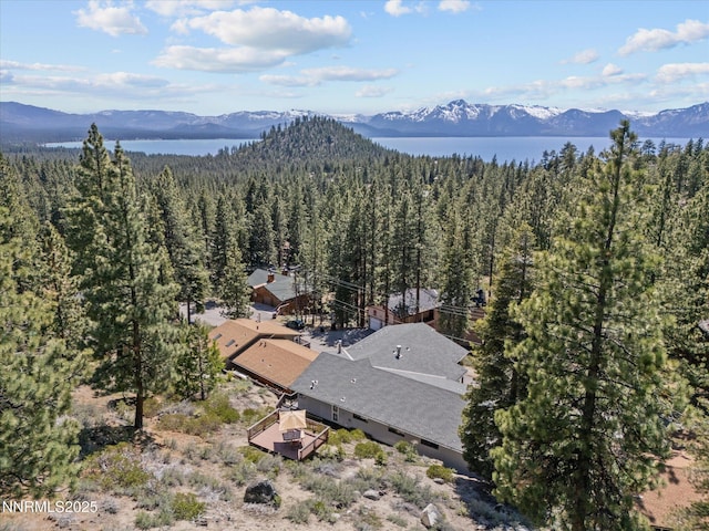 315 Paiute Dr, Zephyr Cove, NV 89448 - view from above of property with a mountainous background and a forest