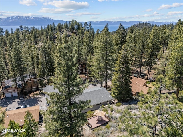 315 Paiute Dr, Zephyr Cove, NV 89448 - view of property location with mountains and a forest