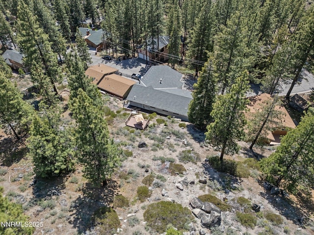 315 Paiute Dr, Zephyr Cove, NV 89448 - aerial overview of property's location
