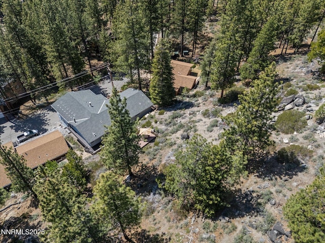 315 Paiute Dr, Zephyr Cove, NV 89448 - view from above of property