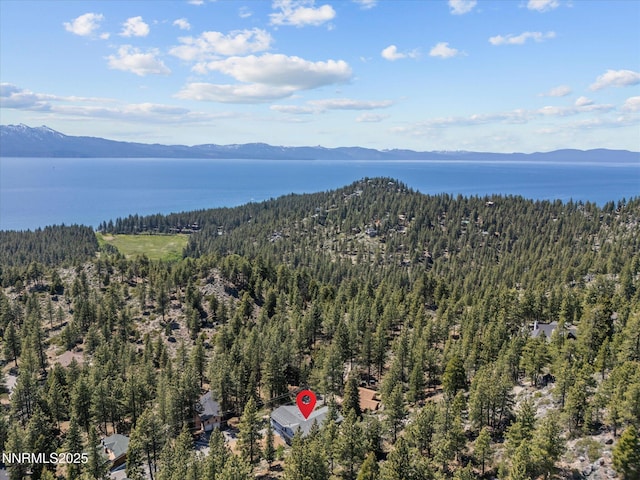 315 Paiute Dr, Zephyr Cove, NV 89448 - aerial view of a heavily wooded area and a water and mountain view
