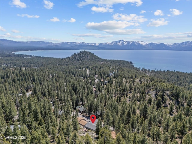 315 Paiute Dr, Zephyr Cove, NV 89448 - bird's eye view of a forest and a water and mountain view