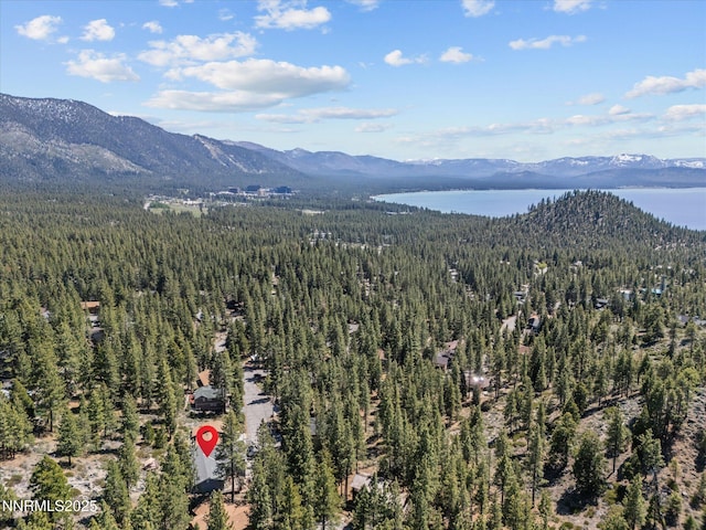 315 Paiute Dr, Zephyr Cove, NV 89448 - aerial view of a forest and a water and mountain view