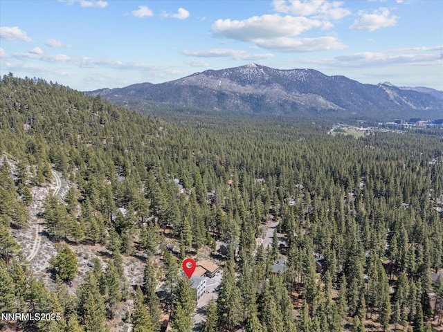 315 Paiute Dr, Zephyr Cove, NV 89448 - drone / aerial view of a forest and mountains