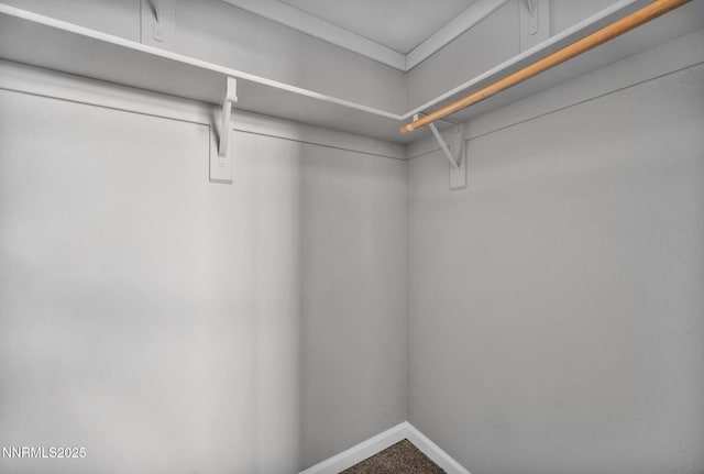 9951 Grand Falls Dr, Reno, NV 89506 - walk in closet with carpet floors