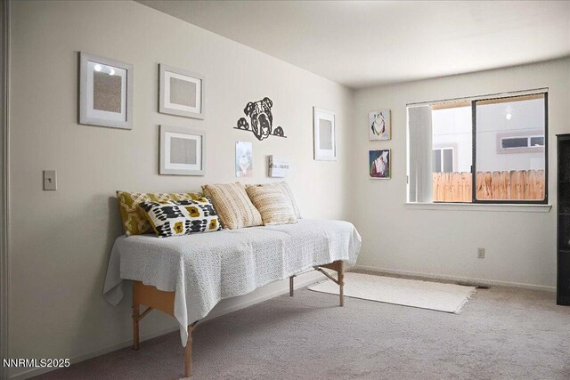 806 Bluerock Rd, Gardnerville, NV 89460 - carpeted bedroom featuring baseboards