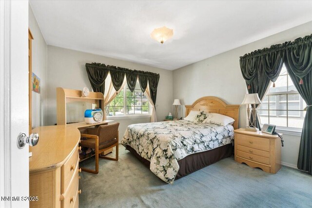 1410 Patrick Ave, Reno, NV 89509 - photo 20