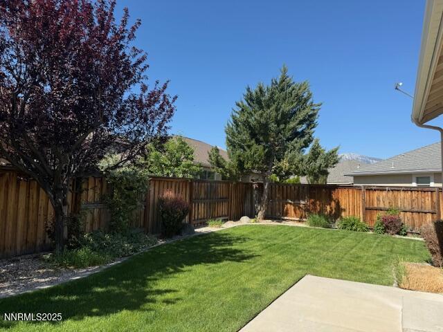 1313 Cedar Creek Cir, Gardnerville, NV 89460 - view of yard with a patio