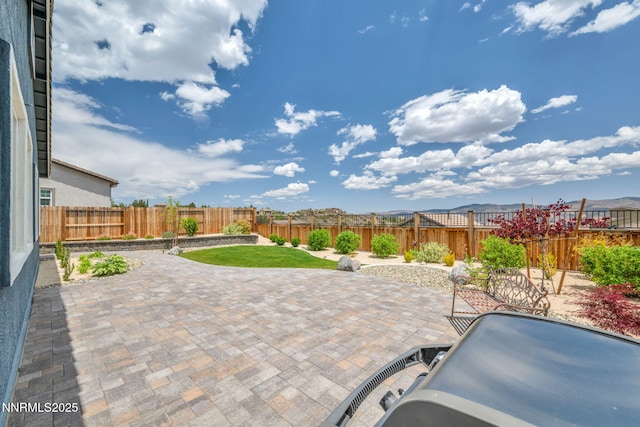 14206 Tuscan Sun Ct, Reno, NV 89511 - fenced backyard with a patio