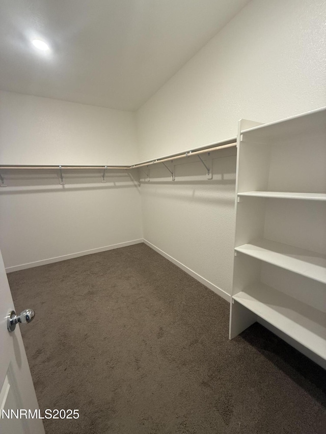 1125 Alder Dr, Fallon, NV 89406 - photo 10