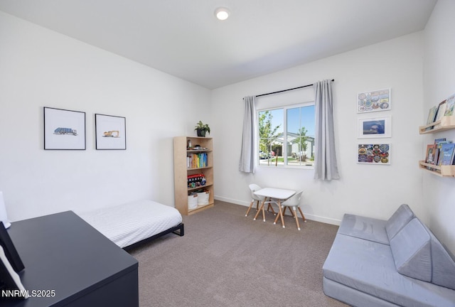 703 Sycamore Dr, Fallon, NV 89406 - sitting room featuring carpet floors and baseboards