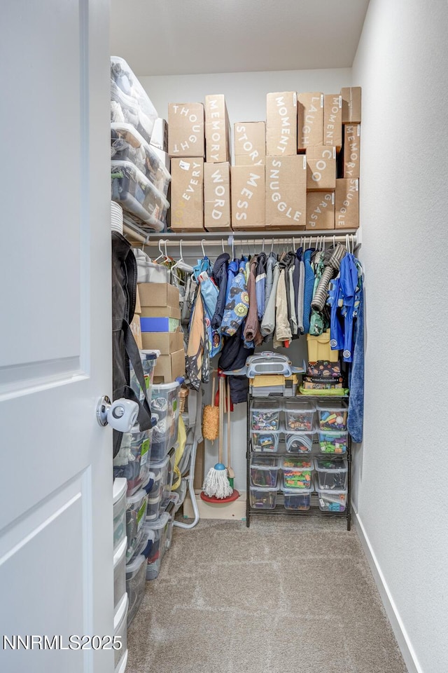 703 Sycamore Dr, Fallon, NV 89406 - walk in closet featuring carpet flooring
