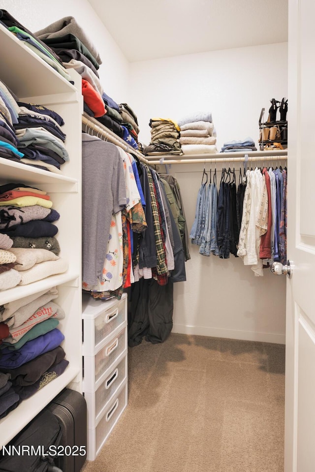 703 Sycamore Dr, Fallon, NV 89406 - walk in closet featuring carpet