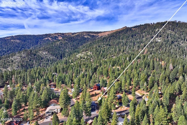 997 Dorcey Dr, Incline Village, NV 89451 - view of property location with a heavily wooded area and a mountainous background