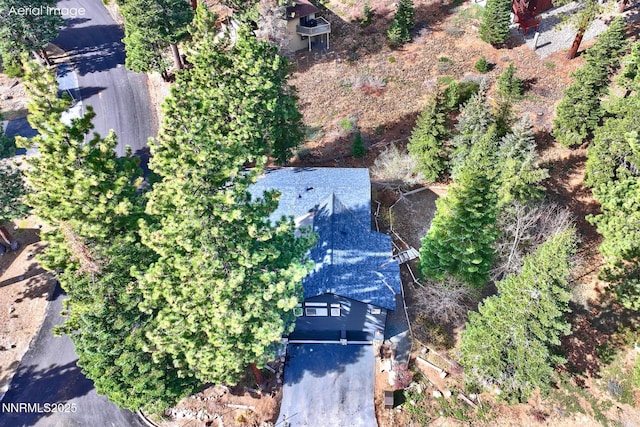 997 Dorcey Dr, Incline Village, NV 89451 - aerial view of property and surrounding area
