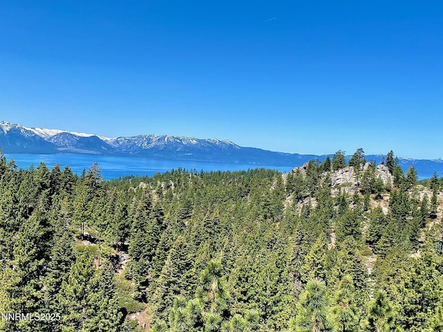 710 Tina Ct # B-2, Stateline, NV 89449 - mountain view