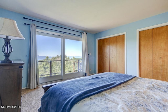 710 Tina Ct # B-2, Stateline, NV 89449 - carpeted bedroom with access to exterior and multiple closets