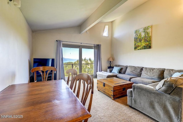 710 Tina Ct # B-2, Stateline, NV 89449 - view of carpeted living room