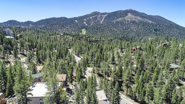 710 Tina Ct # B-2, Stateline, NV 89449 - mountain view featuring a forest