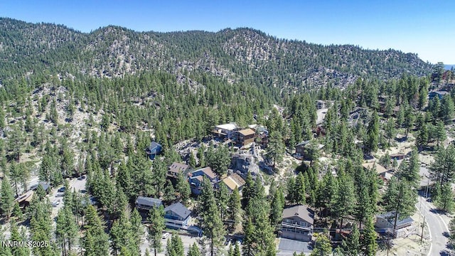 710 Tina Ct # B-2, Stateline, NV 89449 - view of property location with a mountainous background