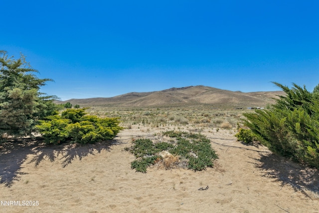 21 Fox Ln, Yerington, NV 89447 - photo 25