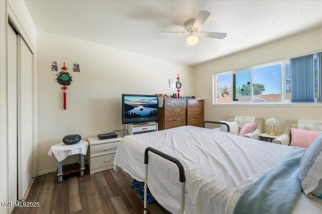 110 Smithridge Park, Reno, NV 89502 - bedroom with dark wood-type flooring, a closet, and ceiling fan