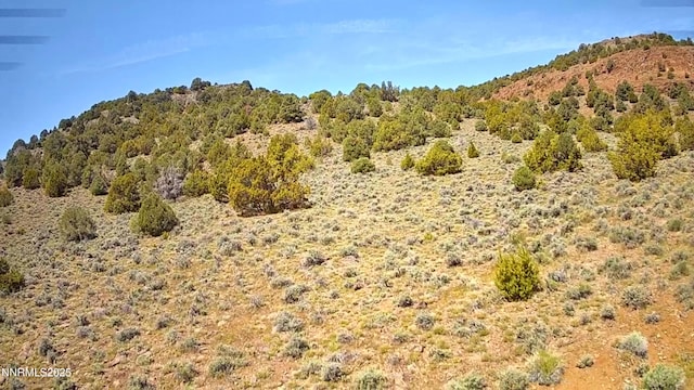 2320 Lousetown Rd, Reno, NV 89521