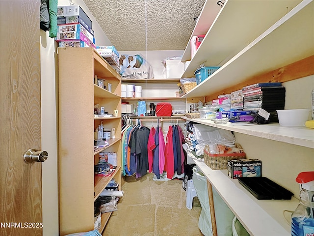 1331 Stephanie Way, Minden, NV 89423 - walk in closet with stone finish flooring
