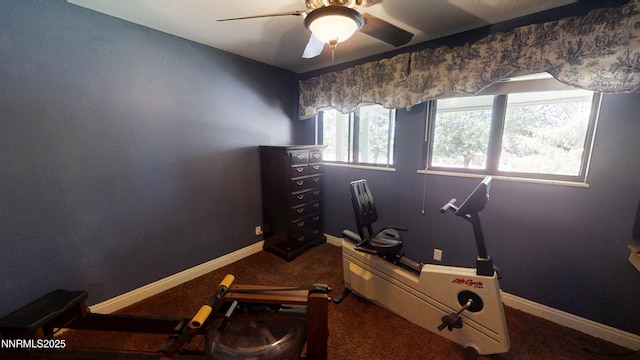 5000 Saint Andrews Dr, Reno, NV 89502 - exercise room with a ceiling fan, baseboards, and carpet