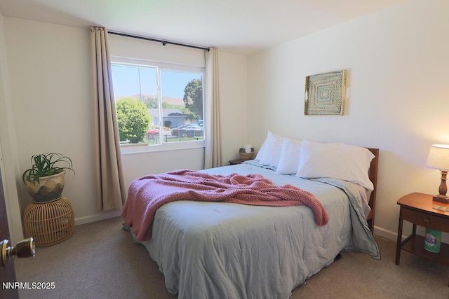 3191 Crescent Ct, Sparks, NV 89431 - bedroom with carpet and baseboards