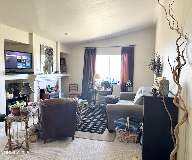 1171 White Oak Loop, Minden, NV 89423 - living room with vaulted ceiling
