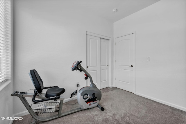 234 Red Oak Dr, Fernley, NV 89408 - photo 22