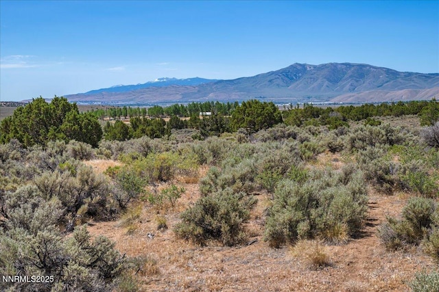 1230 Antelope Valley Rd, Reno, NV 89508 - photo 27