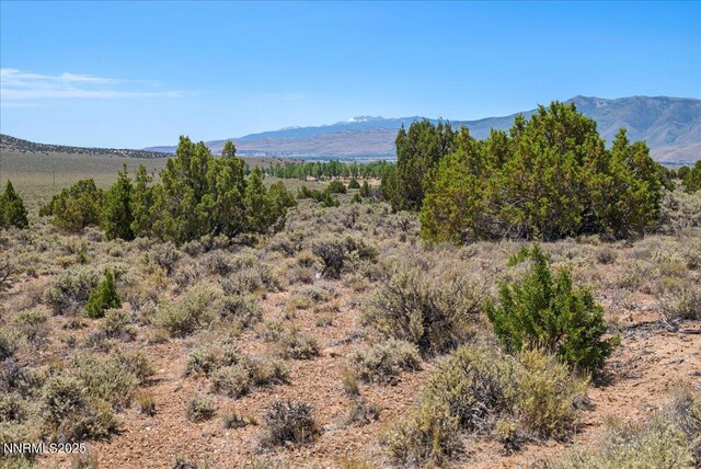 1230 Antelope Valley Rd, Reno, NV 89508 - photo 29