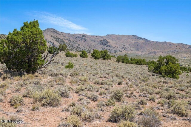 1230 Antelope Valley Rd, Reno, NV 89508 - photo 30