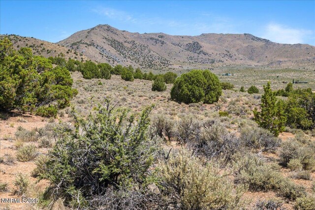 1230 Antelope Valley Rd, Reno, NV 89508 - photo 31