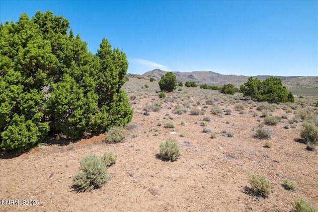 1230 Antelope Valley Rd, Reno, NV 89508 - photo 32