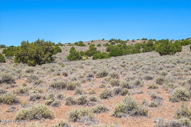1230 Antelope Valley Rd, Reno, NV 89508 - photo 35