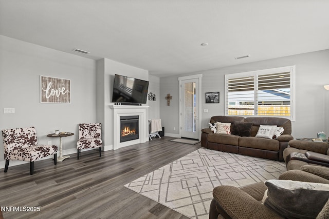 1661 Buttonwillow St, Minden, NV 89423 - living room featuring wood finished floors, a glass covered fireplace, and baseboards