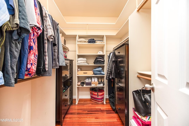 867 Mahogany Dr, Minden, NV 89423 - walk in closet featuring wood finished floors