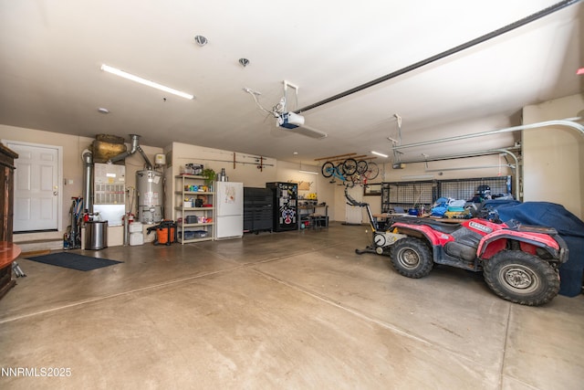 867 Mahogany Dr, Minden, NV 89423 - garage with secured water heater and a garage door opener