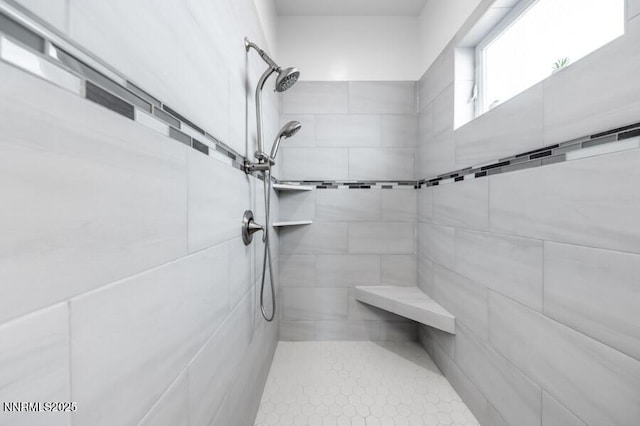 1536 Elk Run Trl, Reno, NV 89523 - bathroom with a tile shower and pet washing area