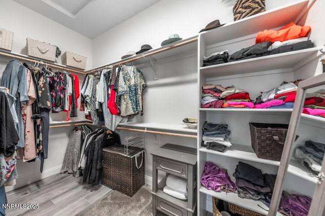 1536 Elk Run Trl, Reno, NV 89523 - walk in closet featuring wood finished floors