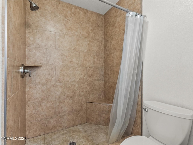 1772 Shamrock Cir, Minden, NV 89423 - bathroom featuring toilet and tiled shower