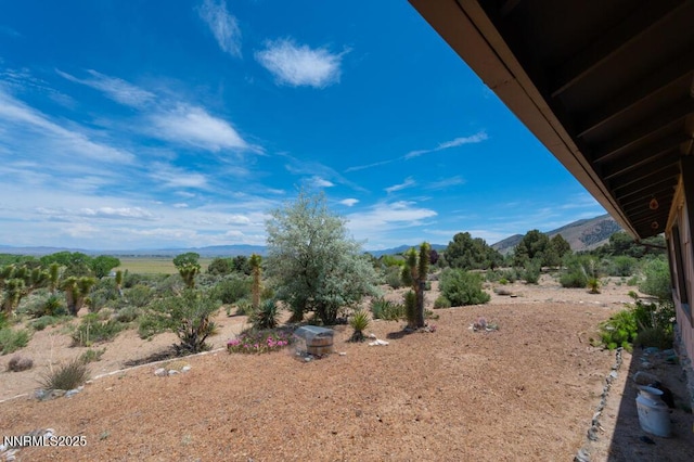 5 Pinon Dr, Smith Valley, NV 89444 - photo 7