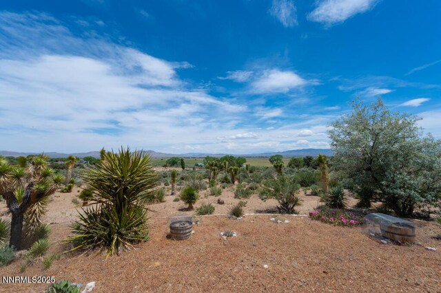 5 Pinon Dr, Smith Valley, NV 89444 - photo 8