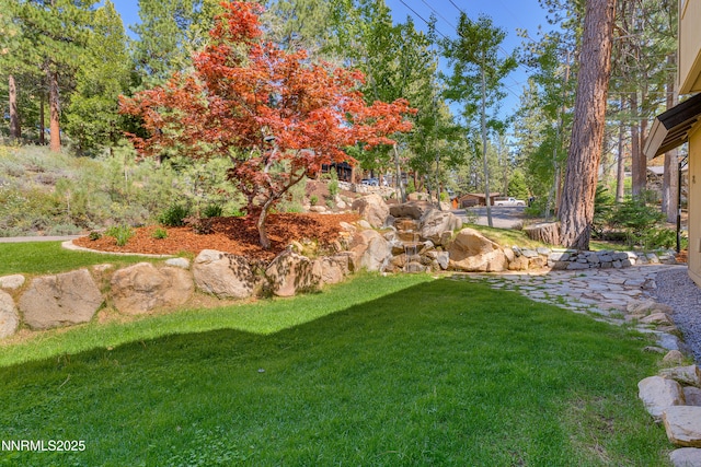 471 Kent Way, Zephyr Cove, NV 89448 - view of grassy yard